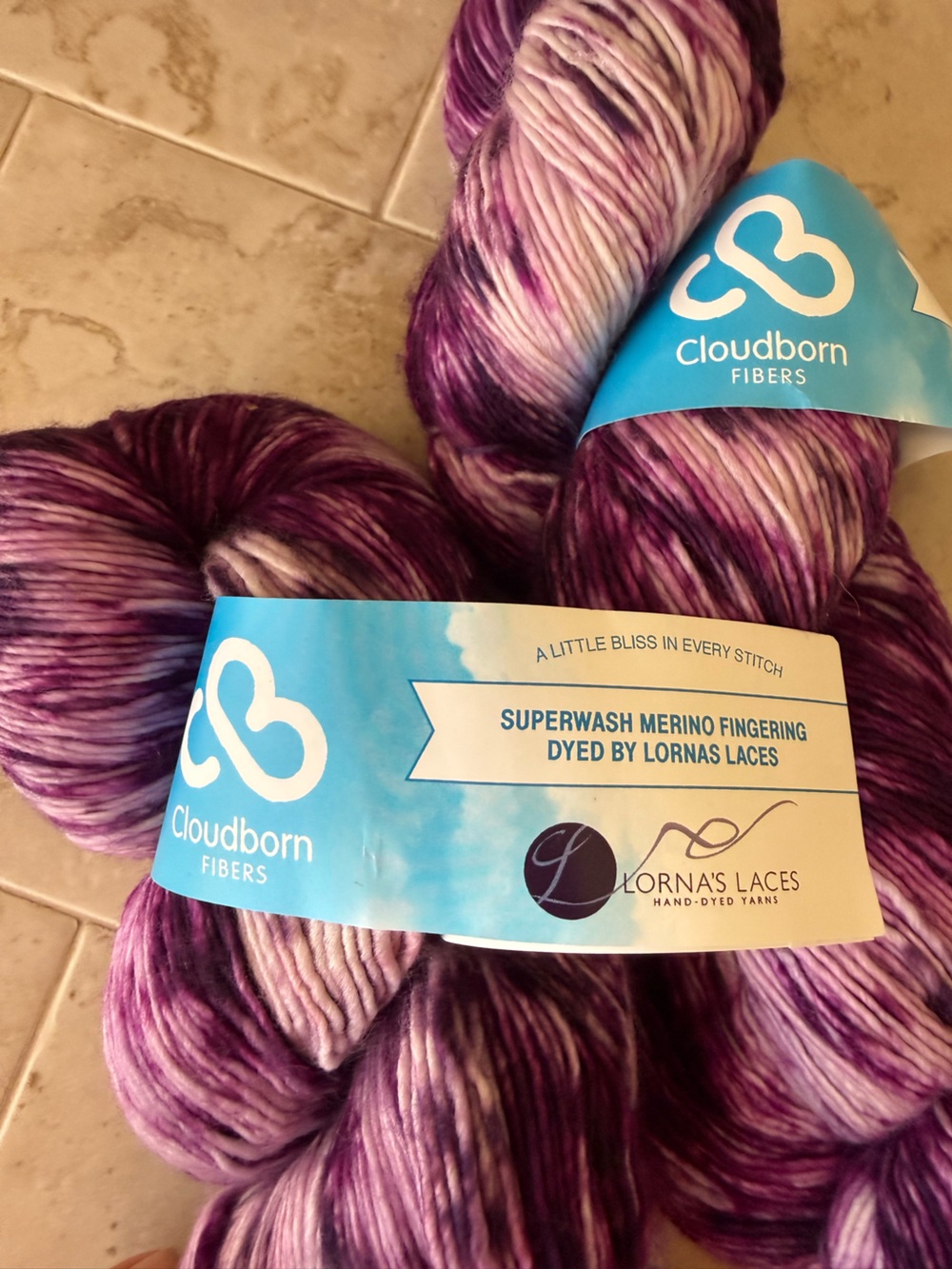 Cloudborn Fibers Superwash Merino Fingering Yarn in Purple Variegated